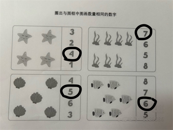 3d6fc239a2a742699fa3fd51e9678097.jpg