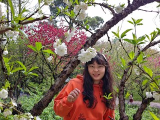 顾子倩　教师